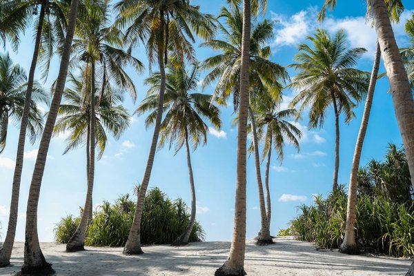 Camping de luxe sur le littoral Français