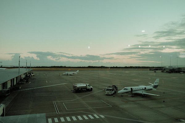 Les trésors cachés du tourisme en camargue à explorer