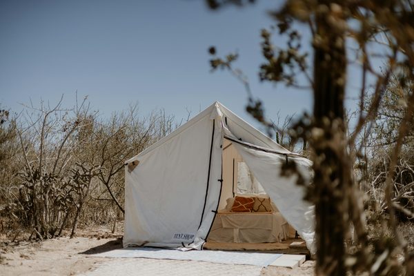 Camping dans les gorges du tarn : votre refuge 4 étoiles